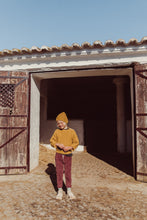 Load image into Gallery viewer, Abel Pants Grape