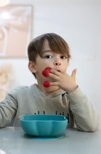 Load image into Gallery viewer, Bear Stickie Bowl