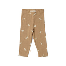 Load image into Gallery viewer, Baby Wrap Body & Leggings Set- Dinosaur Kelp
