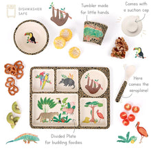 Load image into Gallery viewer, Divided Plate Set - Amazon