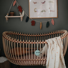 Load image into Gallery viewer, Organic Cotton Muslin Swaddle Blanket- Dinosaurs