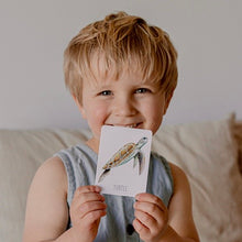 Load image into Gallery viewer, Ocean Snap & Go Fish (2 card games in 1)