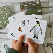 Load image into Gallery viewer, Animals Snap & Go Fish (2 card games in 1)
