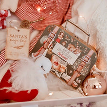 Load image into Gallery viewer, Christmas “Take Me With You” Puzzle