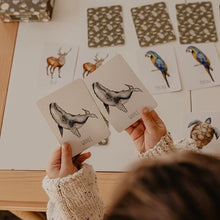 Load image into Gallery viewer, Animals Snap & Go Fish (2 card games in 1)