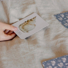 Load image into Gallery viewer, Ocean Snap & Go Fish (2 card games in 1)