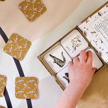 Load image into Gallery viewer, Australia Memory Card Game