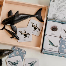 Load image into Gallery viewer, Ocean Memory Card Game