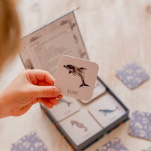 Load image into Gallery viewer, Ocean Memory Card Game