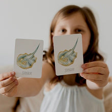 Load image into Gallery viewer, Ocean Snap & Go Fish (2 card games in 1)