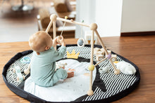 Load image into Gallery viewer, Penguin Baby Playmat - Bag