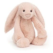 Load image into Gallery viewer, Blush Bunny Baby Girl Hamper
