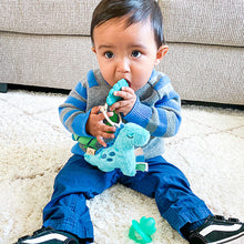 Load image into Gallery viewer, Itzy Pal™ Plush + Teether-James The Dino
